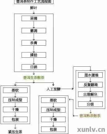 普洱茶发酵工艺流程及要点