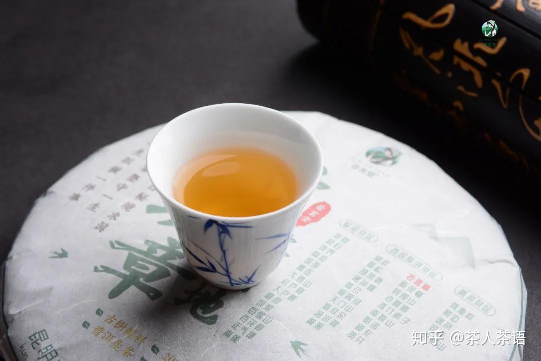 普洱茶也是春茶好吗？为什么这么贵？