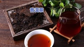 探索普洱茶的多元搭配：饮法、功效和作用全解析