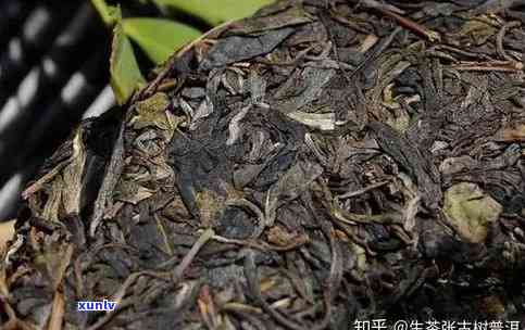 易武普洱茶组合：全面解析与推荐，助您轻松选购优质茶品