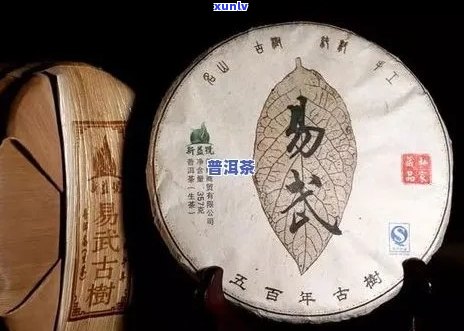 易武普洱茶组合：全面解析与推荐，助您轻松选购优质茶品