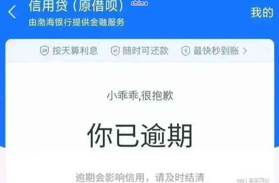 关于借呗：上海诚是借款方吗？如何申请和使用借呗？