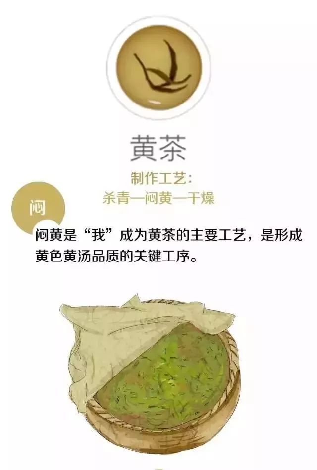 从茶树到茶杯：全方位解析手工普洱茶的制作工艺与要点