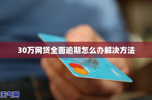 如何应对30万网贷逾期问题：一份全面的解决方案