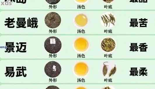 如何辨别普洱茶真伪：颜色因素分析及实用技巧