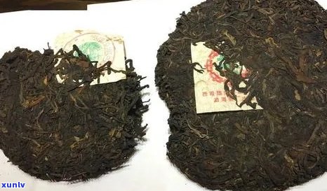 红色圆标普洱茶鉴别与口感对比：红标与标有何差别？