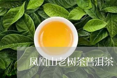 凤凰山普洱茶什么味道