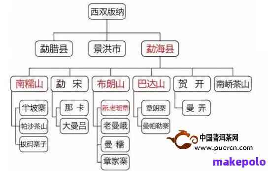 '知名山头普洱茶品种全解析：好品种一次看清'