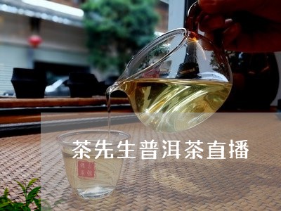 正品保障！贡生普洱茶直播间，优质茶叶尽在这里