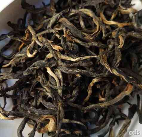 紫色普洱茶叶：独特风味与特点解析