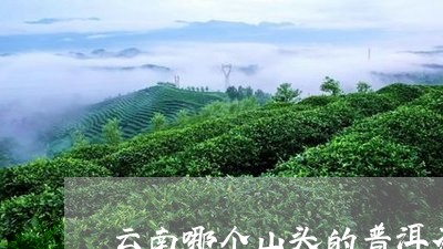 云南普洱茶都有哪些山头-云南普洱茶都有哪些山头茶