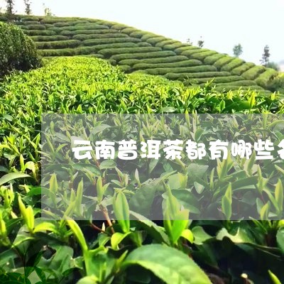 云南普洱茶带山字旁的名字