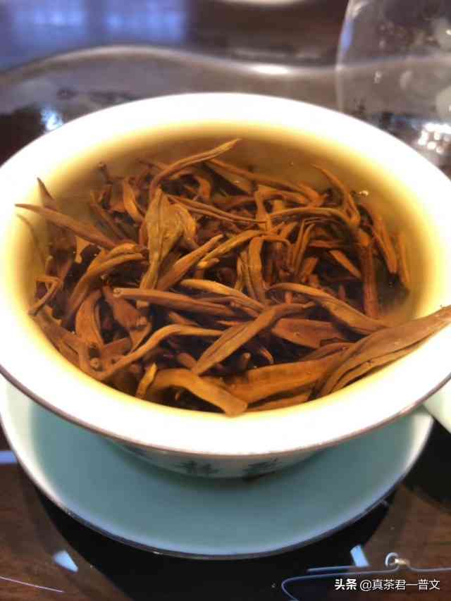 如何巧妙地泡制普洱茶，使其散发出独特的茶油香气