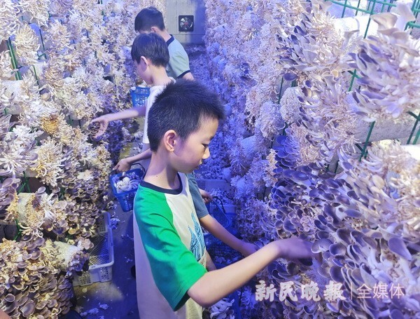 南齐飘花和木纳飘花：冰清玉洁的自然之美