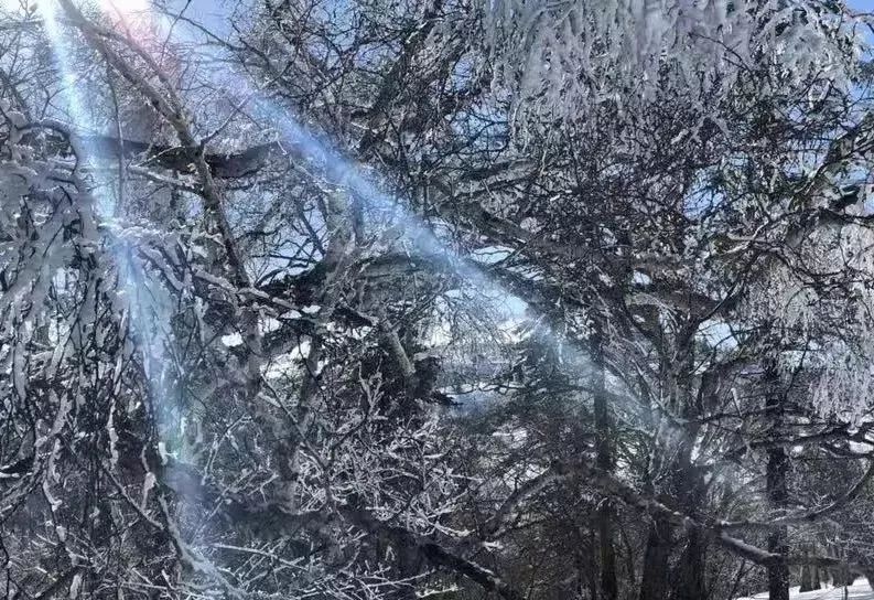 南齐飘花和木纳飘花：冰清玉洁的自然之美