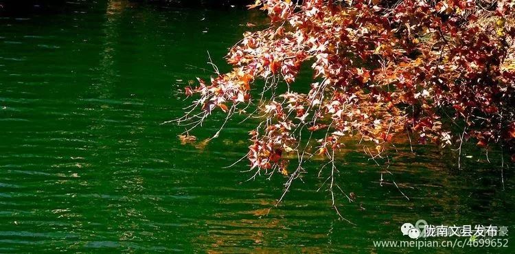 南齐飘花和木纳飘花：冰清玉洁的自然之美