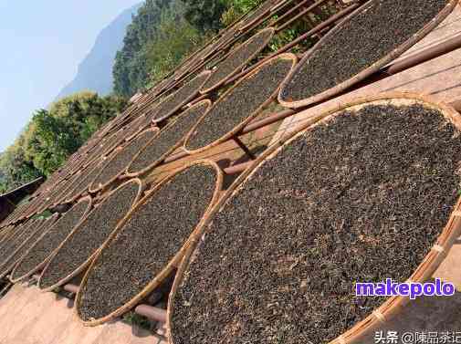 普洱茶饼烘干度及时间：多少度合适？是否需要晒干？