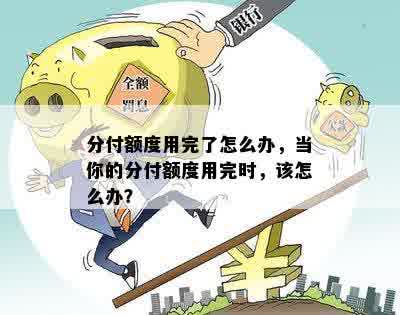 分付额度使用后多久可以再次借款？了解详细恢复时间和规定