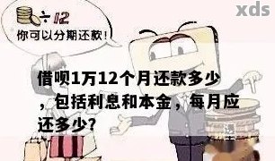 如果借五万每个月要还多少钱-如果借五万每个月要还多少钱利息