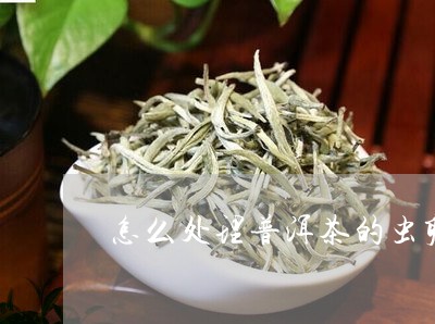 普洱茶存放时出现虫卵问题：如何应对和解决？