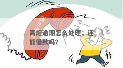 高炮逾期一年后，借款人还能否继续借款？有哪些可能的解决方案？