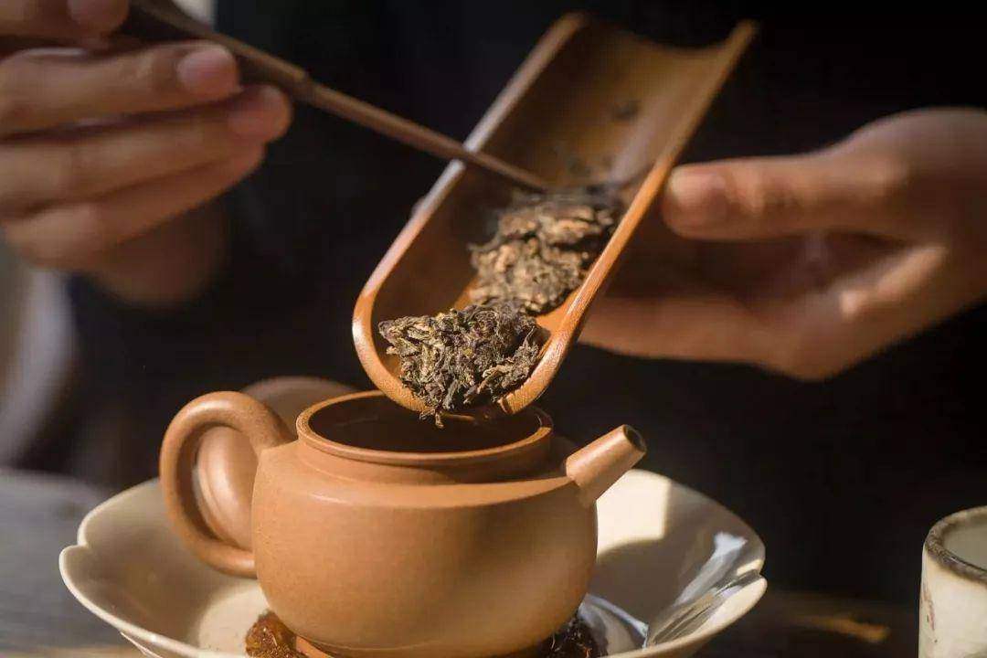 普洱茶用什么器皿泡茶好喝