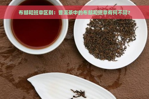 普洱茶布朗与宫廷茶的区别及口感对比，哪个更适合品尝？