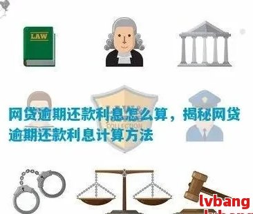 网购商品逾期还款的利息计算方法与影响因素全面解析