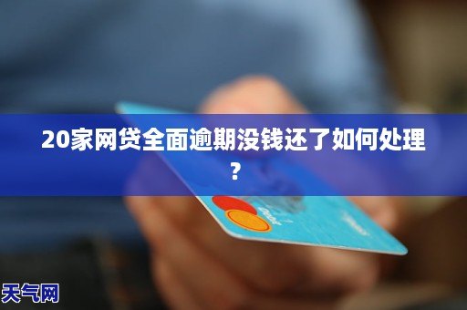 家人没钱网贷还不起了怎么办，如何解决？