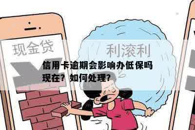 母亲办低保，女儿信用卡逾期，怎么办？