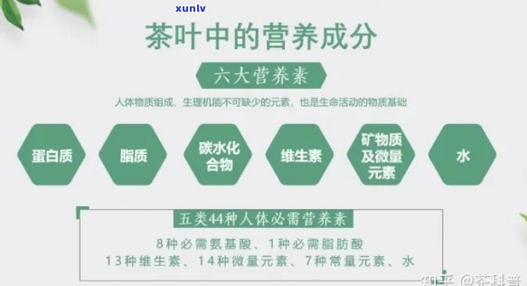 普洱茶中的活性成分及其对人体健的益处-普洱茶的活性物质