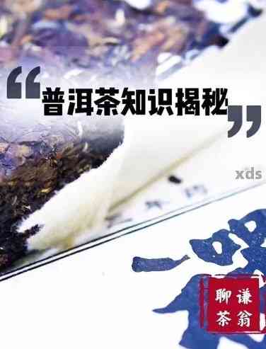 普洱茶7171:一款独特的茶叶品种及其文化意义