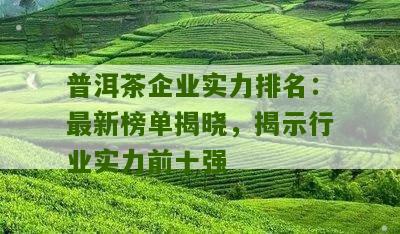 湖州知名熟普洱茶企业排名前十名：探寻更具影响力的十大企业