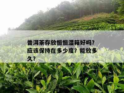 普洱茶存放的理想环境：恒恒湿柜，长茶叶保质期