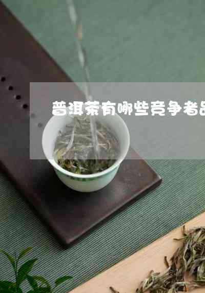 普洱茶出自云南哪里的特产茶