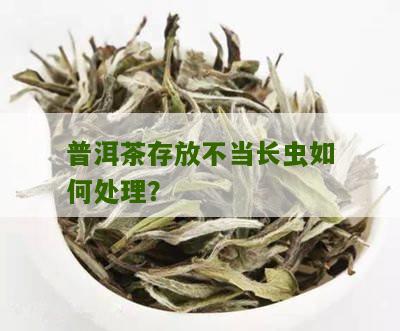 如何妥善保管普洱茶以防止长虫？