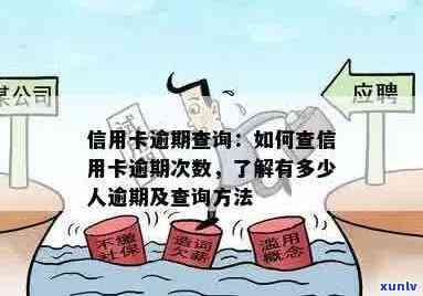 全方位指南：如何查询信用卡逾期次数及相关问题解答