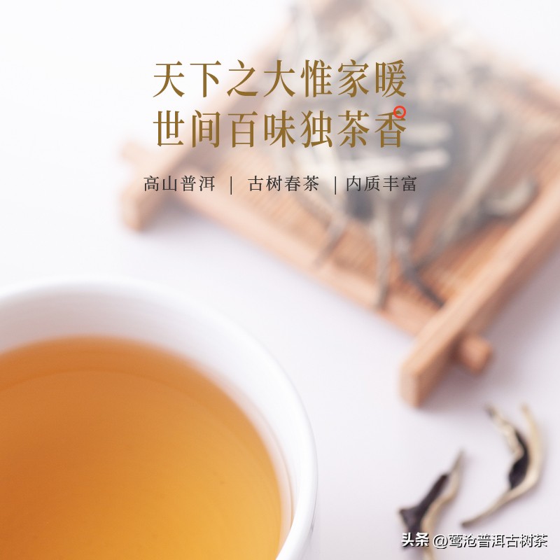 与普洱茶相仿的茶叶是什么