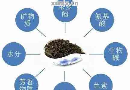 '硒含量更高的普洱茶推荐：哪个牌子好？'