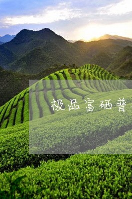 硒含量更高的普洱茶是什么