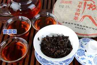 一生红茶业普洱茶2013