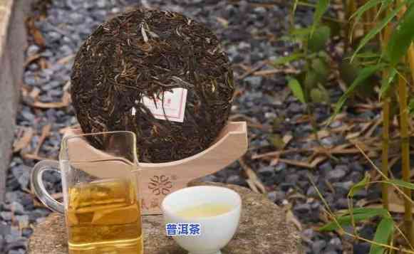 普洱茶的味道特点：浓淡适中还是浓？了解不同种类和制作工艺的口感差异