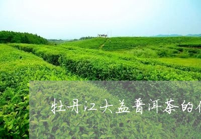 '丹东大益普洱茶产地是哪里的——寻找茶叶原产地'