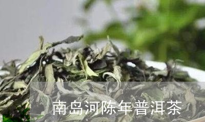 南岛河普洱茶属于什么档次