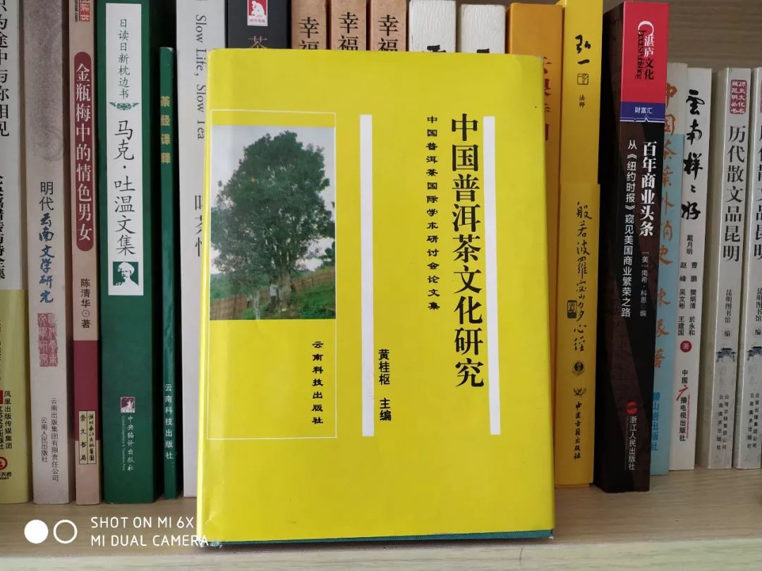 普洱茶产业现状及构思分析论文：发展趋势与创新策略