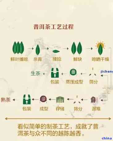 新普洱茶科技探究的全方位方法与技术解析