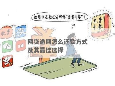 新网贷逾期后能否自由选择还款方式？