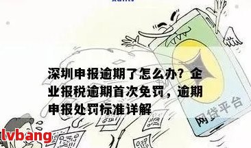 深圳企业所得税申报全流程详解：从准备材料到申报完成的全部步骤与注意事项