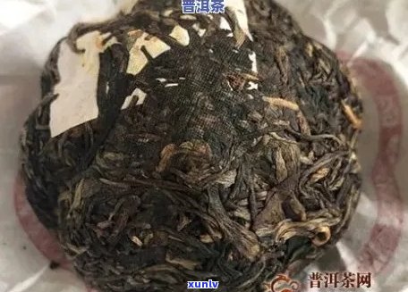 探究泡沫产生原因：普洱茶中的化学成分影响还是其他因素？