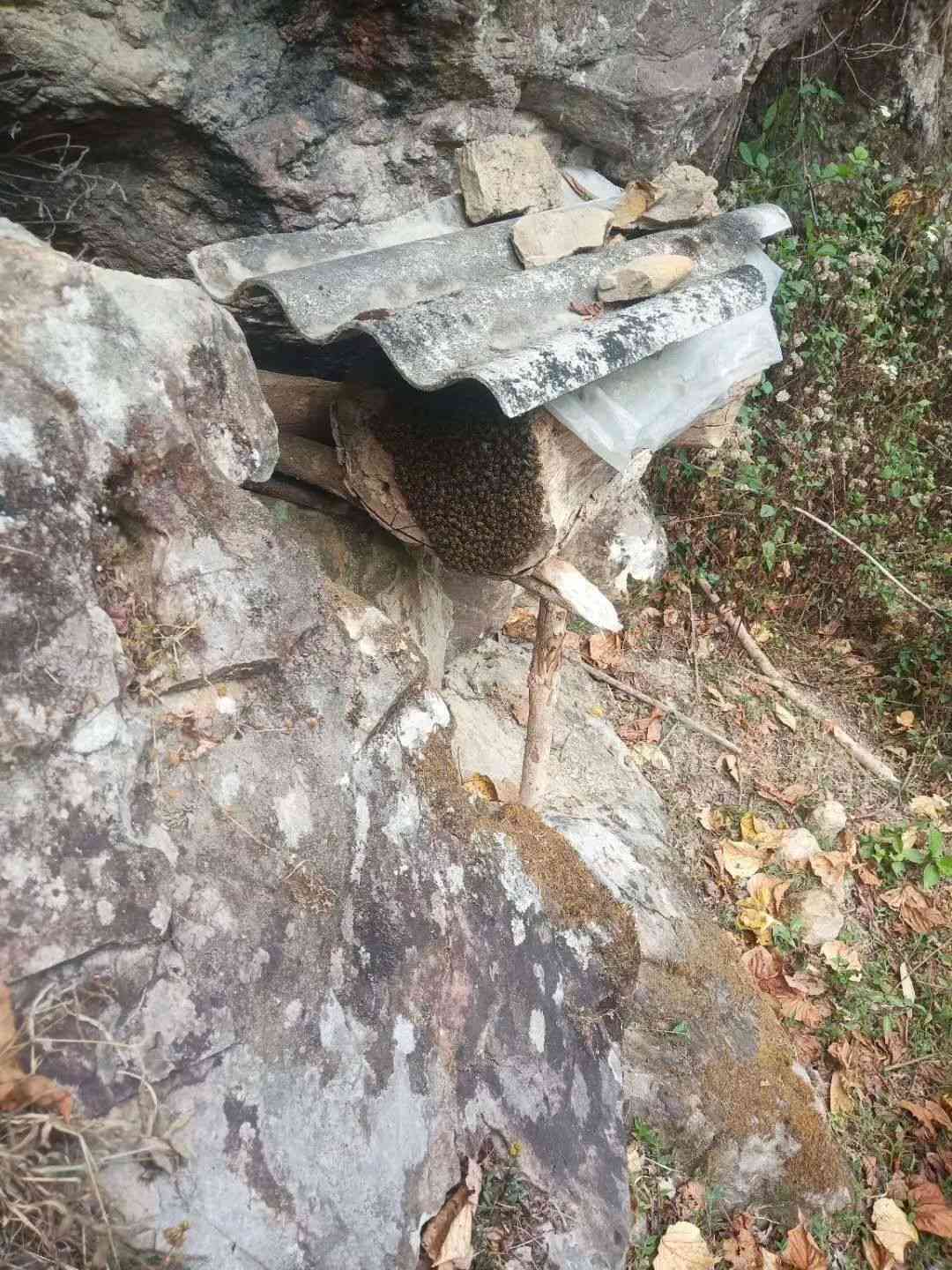 普洱茶甜的原因及如何调制出适中口感的普洱茶